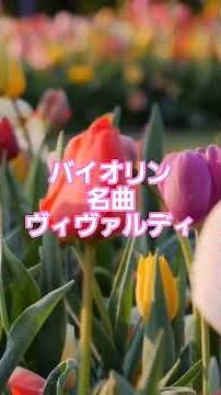 #28 🎻 バイオリン名曲ベスト | ヴィヴァルディ「四季」より #classicalmasterpiece #クラシック名曲 #クラシック
