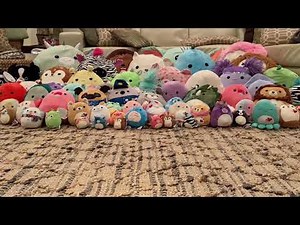 First Video-Introducing all our squishmallows!!
