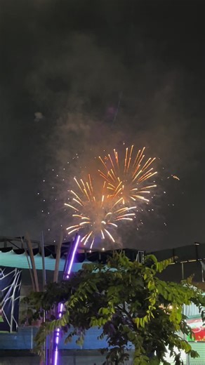 Chào Năm Mới 2026 Với Pháo Hoa Đầm Sen