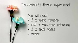 95K views · 1.9K reactions | Show your kids how they can change a...