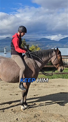 8.7K views · 153 reactions | The best way to train a horse is through kindness and patience. When they feel rewarded and unhurried, their experiences create lasting, positive memories. They'll always remember the gentle rider on their back. #HorseTraining #EquestrianLife #HorseCare #AnimalBond #GentleHorsemanship | Mastery Horsemanship | Facebook
