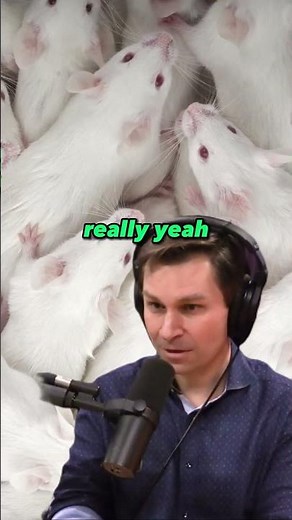 Revolutionary Aging Discovery: Boosting Endurance and Longevity | Joe Rogan Experience #1234