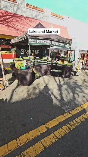 412 reactions · 32 shares | Sprout Up Urban Farm I'm a fan of greens myself but these sprouts take it to another level. They even have something for heart burn! #TeamGlassHalfFull #lovelakeland #lakelandfl #lakelandflorida #lakelandmarket #sprouts #sprouting #greens #medicinalherbs | Jonathan Wayne Andress | Facebook