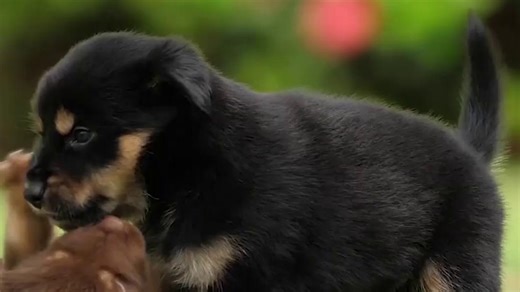 国际标准智商测试，测测你的真实智商水平！！三分钟出结果！