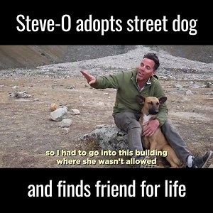 1M views · 33K reactions | Steve-O adopted a stray dog in Peru and won the hearts of millions. This is an amazing story ❤️ | UNILAD | Facebook