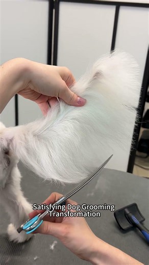 ClippZoo Pet Clippers in Action | Salon-Quality Home Grooming