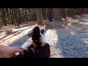 The Weirdest (and Funniest) Back Scratch Reaction Ever!