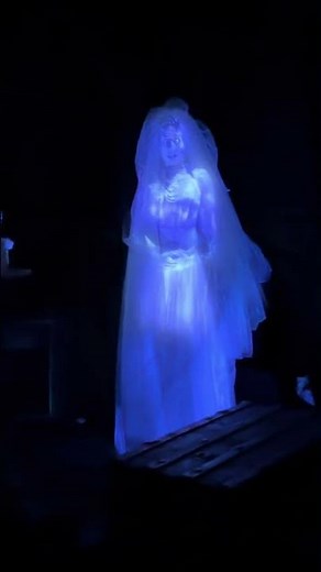 Haunted Mansion Bride Scene POV | Disney World Attractions #shorts