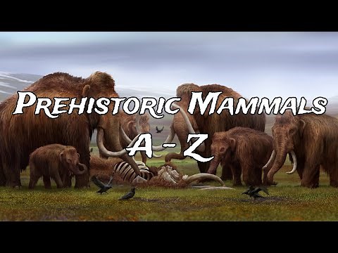 Prehistoric Mammals A - Z