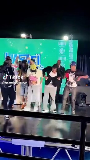 Diamond Platnumz & Marioo Live Performance at Wasafi Festival 2024