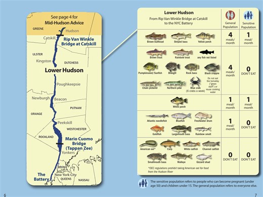 NY health officials say some lower Hudson River fish are safe to eat for first time in 50 years