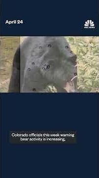 Bear sightings are on the rise as they emerge from hibernation
