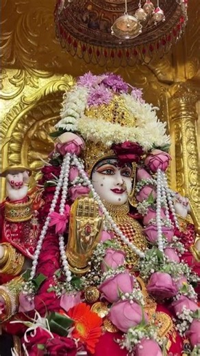 Meldi Maa Na Status 🙏 | Meldi maa Na Song | Meldi Maa Na Dakal | #trending #meldimaa #meldimaastatus