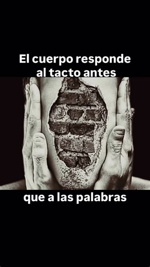Olga • Experta en masajes • Platja d’Aro on Instagram: "1. El tacto activa el sistema nervioso en milisegundos. Estudios de Eric Kandel, Joseph LeDoux y Gallace & Spence muestran que los receptores cutáneos envían señales a la corteza somatosensorial y a la ínsula más rápido de lo que la corteza puede formar un pensamiento verbal. Primero reacciona el cuerpo; después, la mente interpreta. 2. Las fibras C-táctiles, descritas por McGlone y Olausson, están diseñadas para percibir contacto lento y p