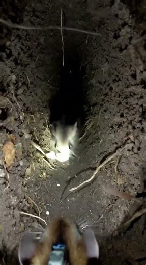 Mounted camera on Rat and the last is insane 😱