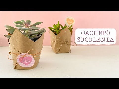 CACHEPÔ PARA SUCULENTA PRESENTE FÁCIL E BARATO | DIY