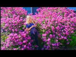 Window Box Recipe & GIANT Lilacs Blooming