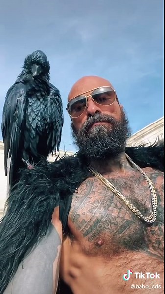 Cartel de Santa: Iconic Songs and Visuals Explained