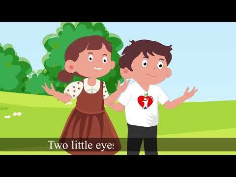 Two Little Hands Song | Fun Preschool Action Rhyme for Toddlers