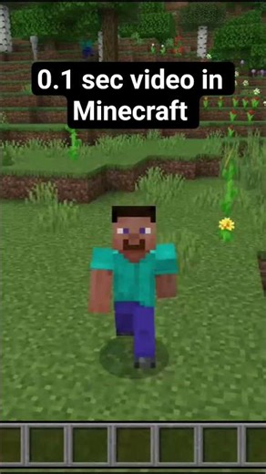 0.1 sec video in Minecraft 😀