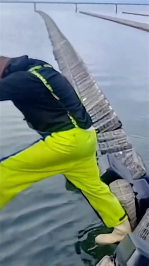 ‎FACT NEMA | فکت نما‎ on Instagram‎: "این جعبه‌های سیاه در حال چرخش شاید شبیه یک اختراع عجیب به نظر برسند، اما در واقع یک «باشگاه بدنسازی برای صدف‌های خوراکی» هستند. پرورش‌دهندگان هر چند روز یک‌بار آن‌ها را می‌چرخانند. این حرکت، شرایط سخت اقیانوس را شبیه‌سازی می‌کند و صدف‌ها را مجبور می‌کند سریع‌تر رشد کنند، پوسته‌شان سخت‌تر شود و حتی از شر انگل‌های مزاحم خلاص شوند. این کار درست مثل یک برنامه ورزشی برای صدف‌هاست که باعث می‌شود هر کدام قوی‌تر شوند. البته این تنها راه پرورش صدف نیست. برخی روی ستون