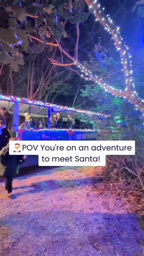 Make your magic memories this Christmas at Quex Adventure Farm Park with the immersive interactive Christmas adventure everyone is talking about 🎄🎅 The Elf Express ends on Christmas Eve and tickets are almost totally sold out for our final dates so book today online at www.theelfexpress.com #kentchristmas #FamilyChristmas #daysoutwithkids | Quex Adventure Farm Park