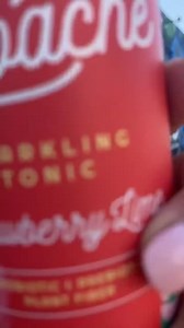 Where are you taking HOLY Tepache on your summer road trip? Choose your adventure in the comments!  ⛰️ Mountains  Parks ️ Beach : Actively Aly Stock up on HOLY Tepache at your local Target in Texas, Colorado, Oklahoma, New Mexico & Arizona!  | HOLY Kombucha | Facebook