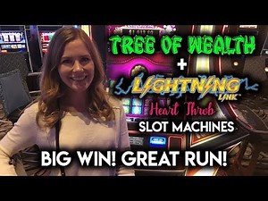 BIG WIN Awesome Run on Tree of Wealth Slot Machine! MAX Bet!!!