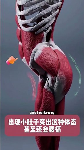 Relieve Lower Back Pain with Foam Rolling: The Ultimate Guide