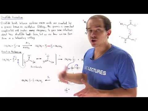 Disulfide Bond Formation
