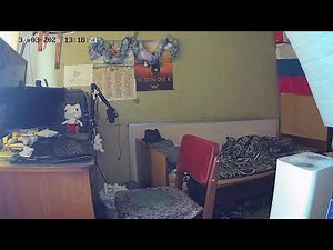 Живу. Постоянная живая трансляция 24/7 (камера 2)