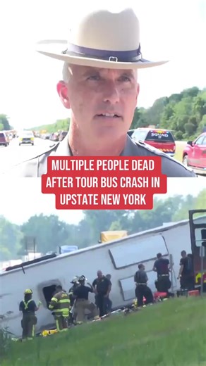 1.4M views · 23K reactions | Multiple people are dead after a tour...