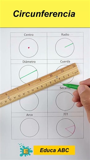Partes de la circunferencia en menos de un minuto #matematicas #mathematica #maths