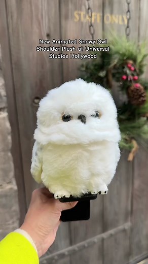 Snowy Owl Shoulder Plush for all the Harry Potter fans at Universal Studios Hollywood! #harrypotter #hogwarts #universalstudios #universalstudioshollywood #snowyowl #wizardingworldofharrypotter