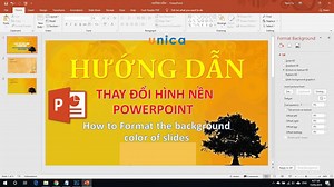 Cách thay đổi màu nền slide trong Powerpoint nhanh chóng