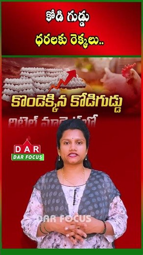 Egg Prices Surge | One Egg Costs Up to ₹9 Now | Latest updates | DAR FOCUS