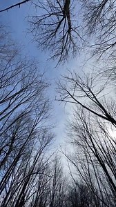 3.1K views · 62 reactions | How much snow do you need to ski?  ⛷'s: @karkoskier & @sawyercasson : @ovdholmes : Mount Pisgah, NY | Ski The East | Facebook