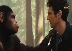 Monkeys attack human -Monkey and Hunman Fighting ! | Animals and Animals Channel