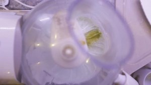 clip-21525565-using-blender