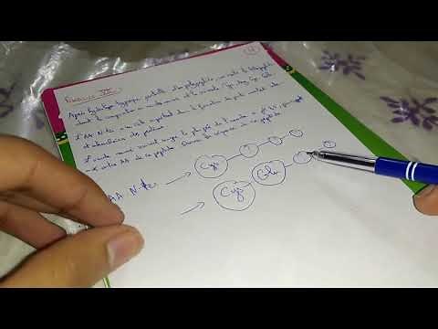 BioSnap 49 - Protéines - Exercice 7