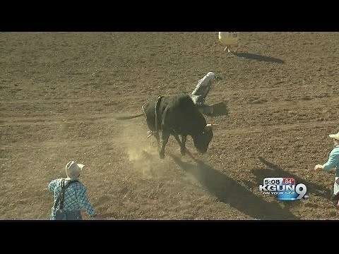 Bull fighting clowns protect cowboys at Rodeo