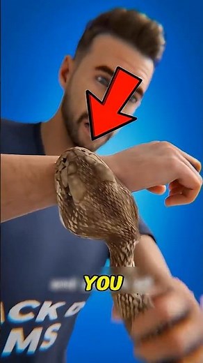 Snake Bite Secrets Revealed🐍