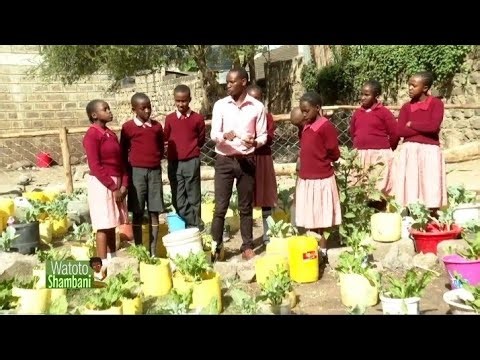 How To Do Container Gardening | Watoto Shambani | Kimathi Primary School