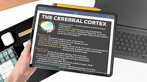 Digital iPad Note-Taking: Guide To Effective & Organized Notes | Emilystudying | Skillshare