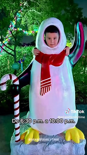 Zoo Lights Miami: La Magia de las Fiestas