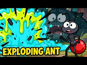 Exploding Ant - Blows itself up with poison, “I’ll go boom for the team!” | National Geographic Kids