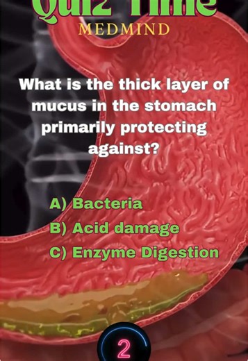 Quiz #37 About GI Tract #stomachdigestion #giproblem #gidisorders #medmind #quizdaily #anatomy