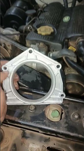 Land Rover Main Seal Replacement | Quick Check