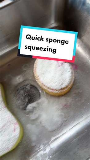 Letting out a little stress #spongesqueezing #lemonpine #dawndishsoap #pinkajaxdishsoap #bakingsoda #gainlaundrypowder #cleantok #oddlysatisfying #stressrelief #smelledamazing