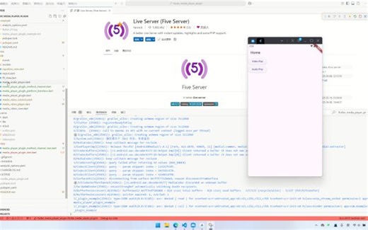 前端面试用项目：flutter 媒体播放插件